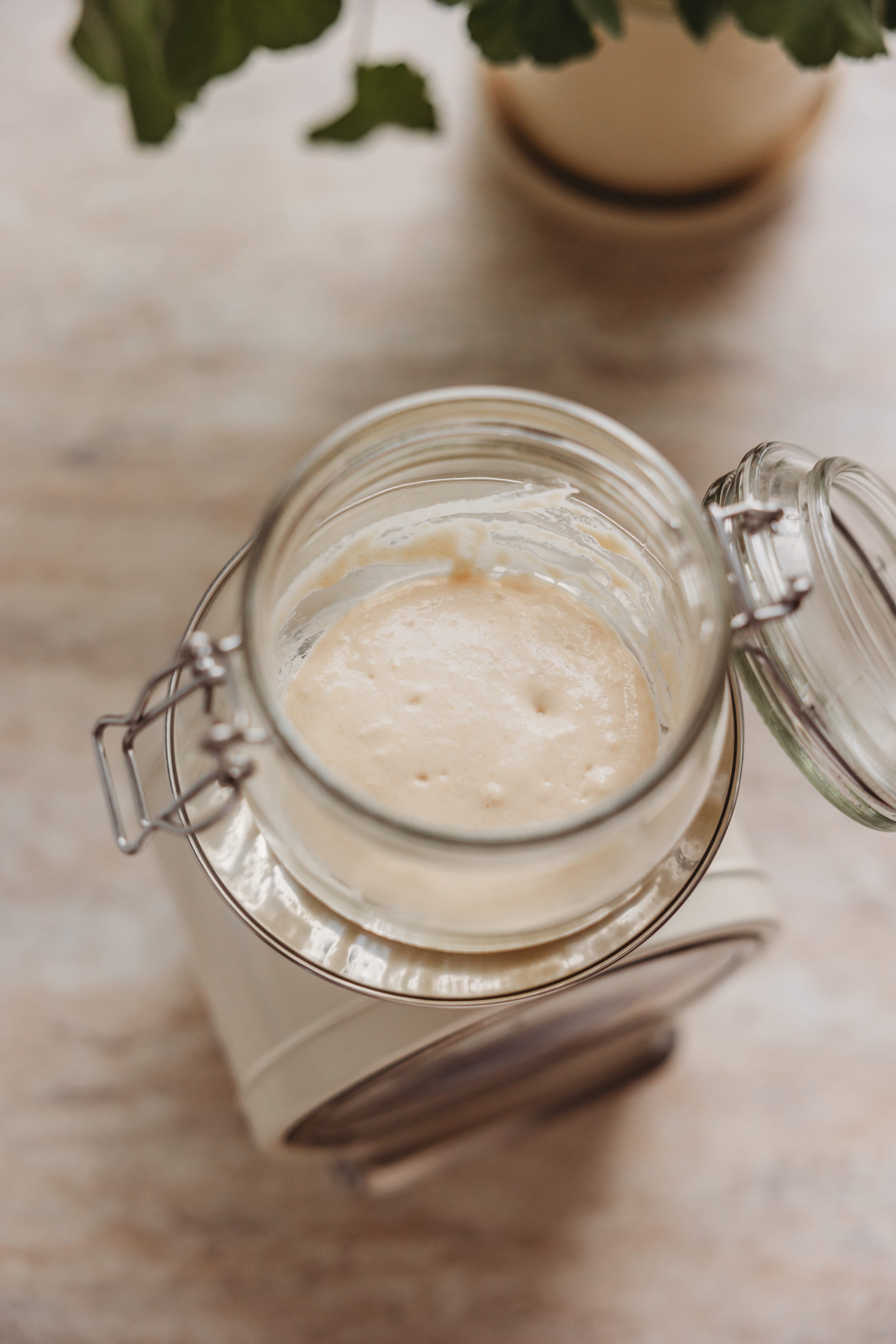 Sauerteigbrot Backen 1