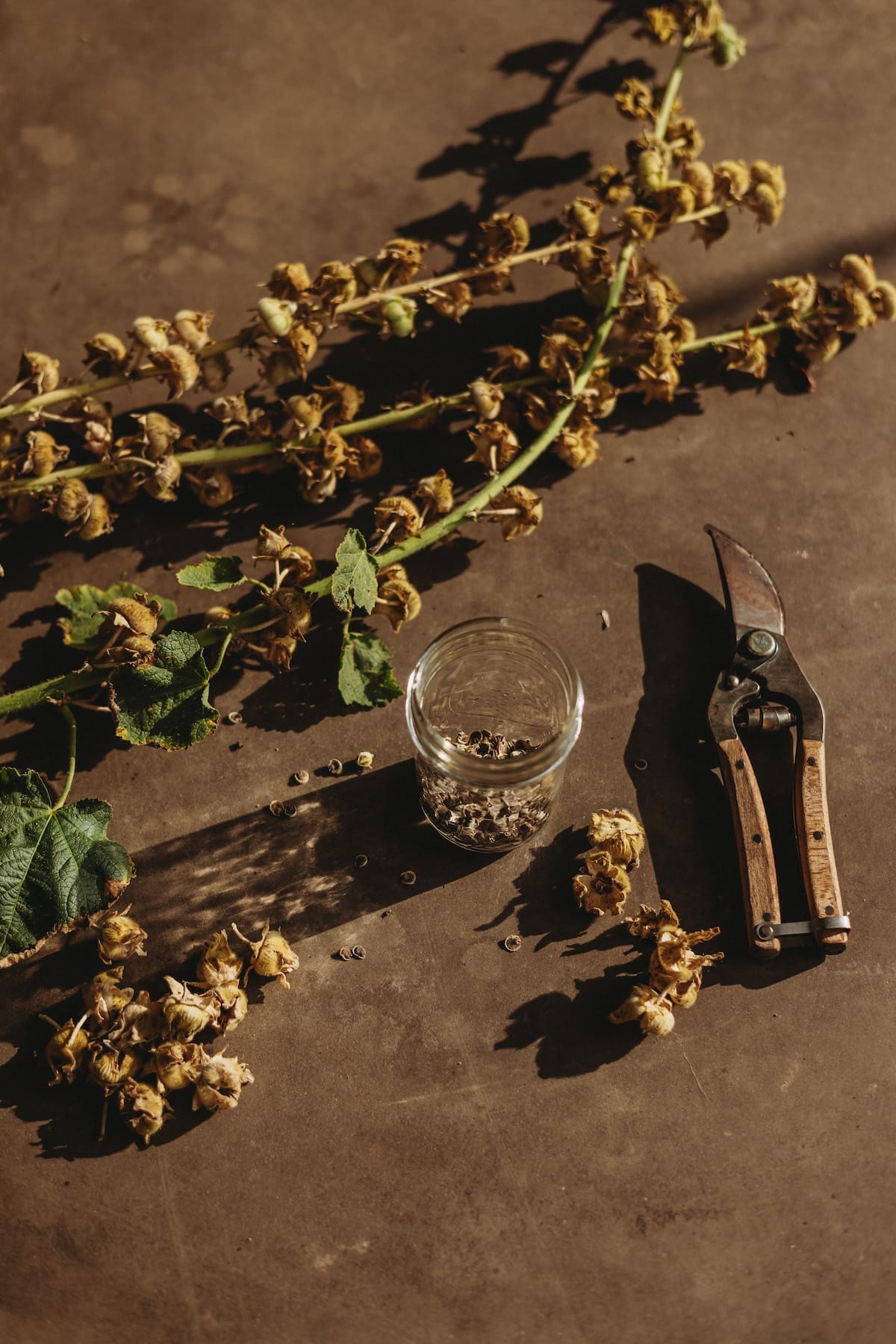 Blog - Stockrose Foto Tisch