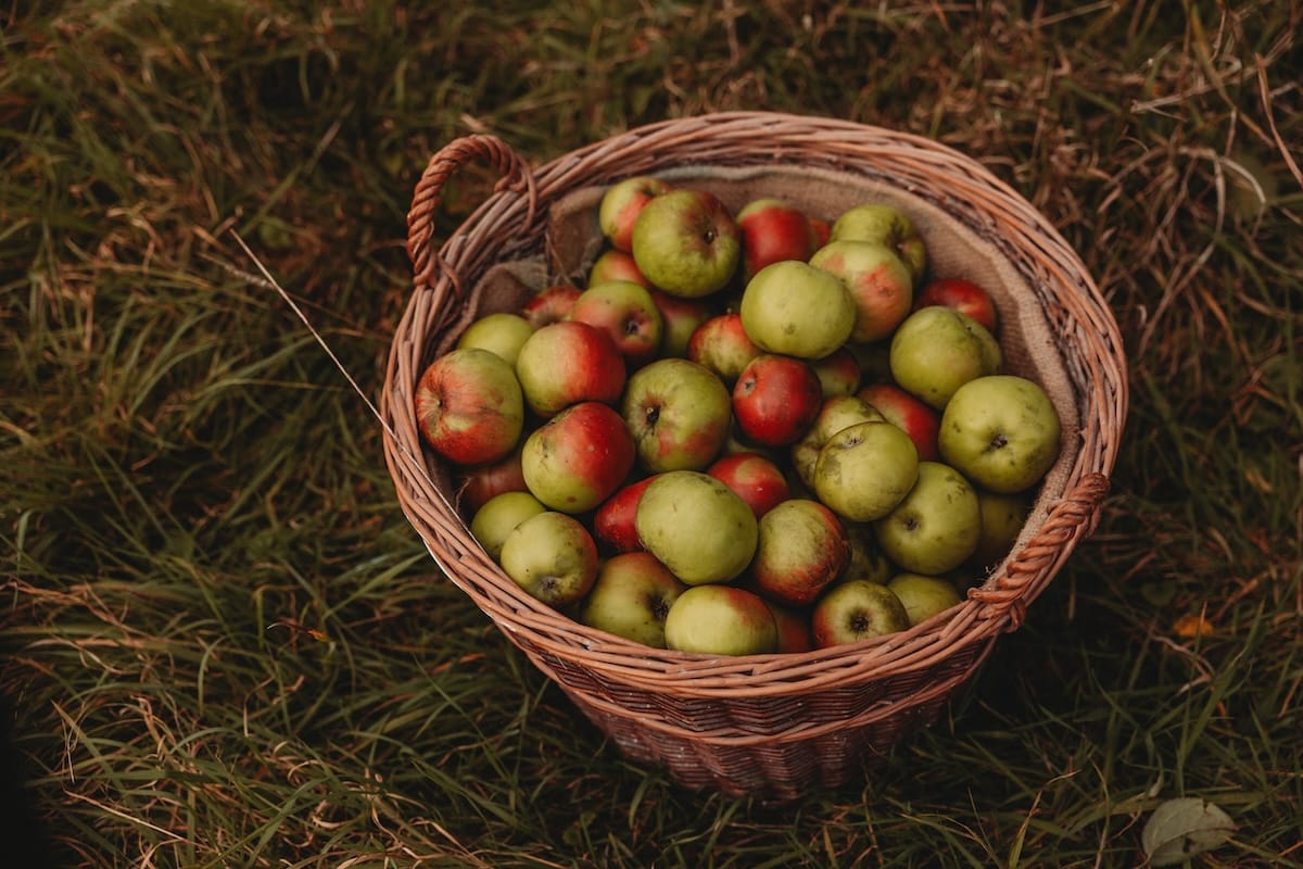 Blog - Apfelsaft Apfelkorb Foto