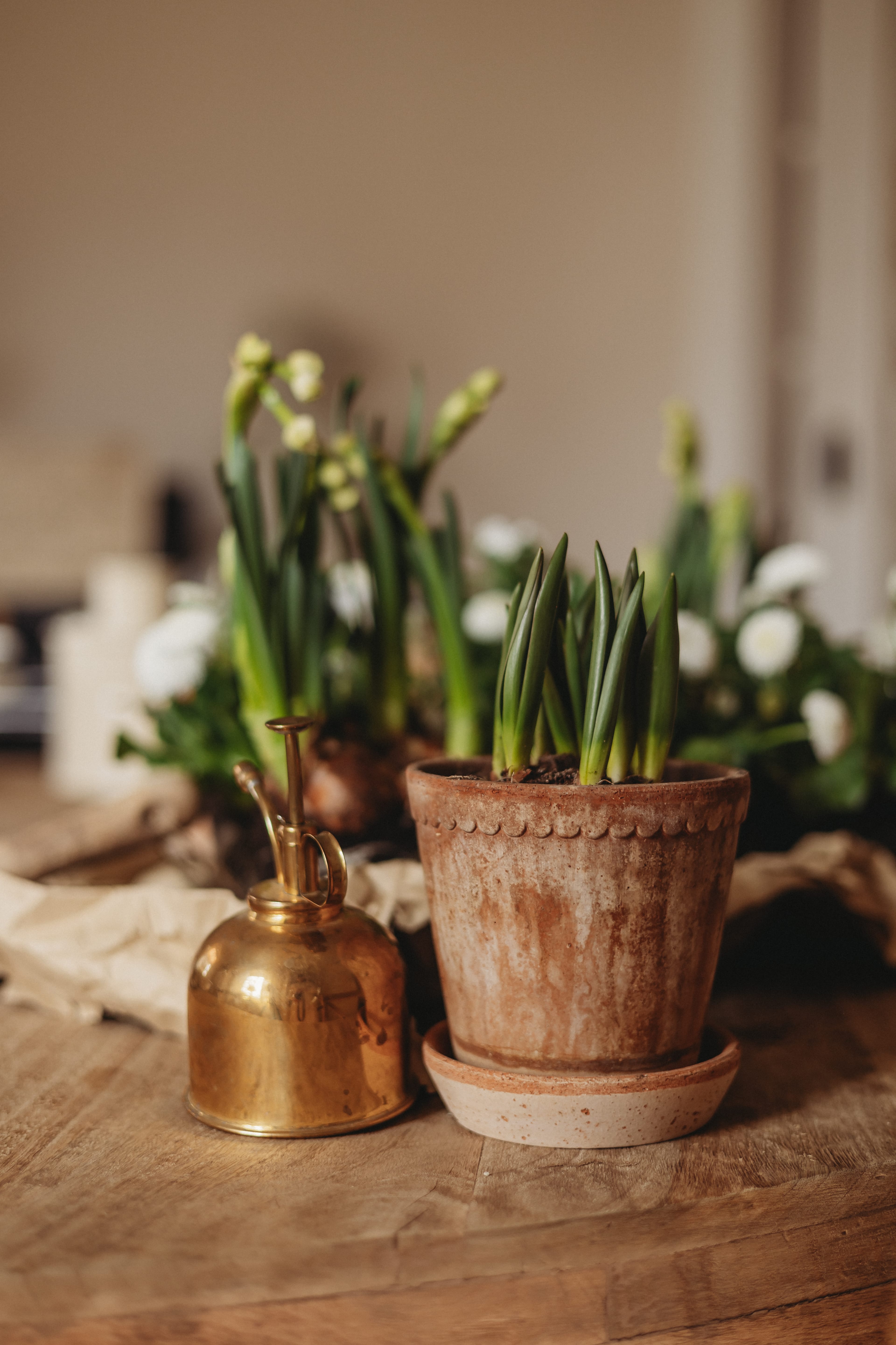 Frühlingsblumen im Suppentopf 2