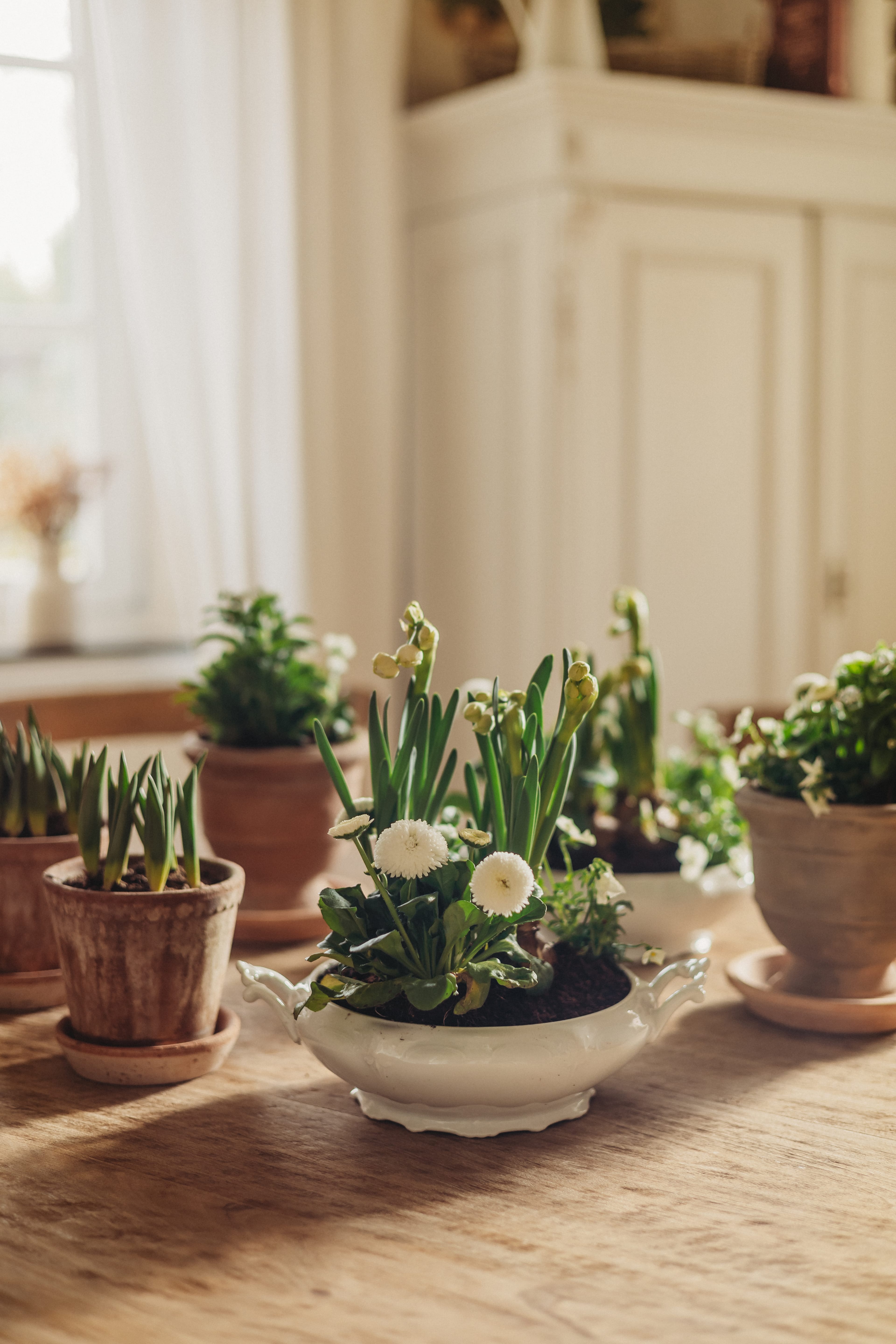 Frühlingsblumen im Suppentopf 11