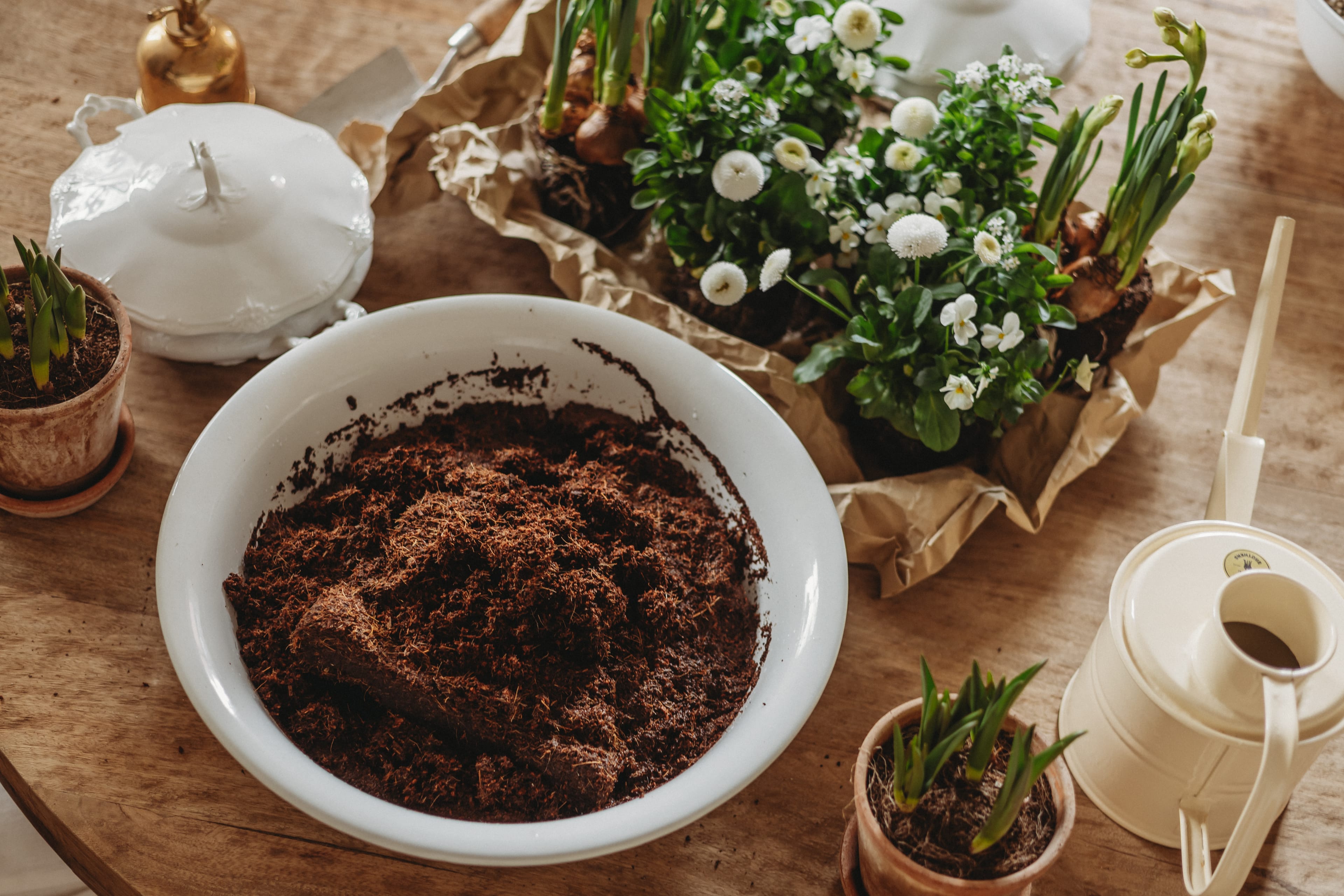 Frühlingsblumen im Suppentopf 5