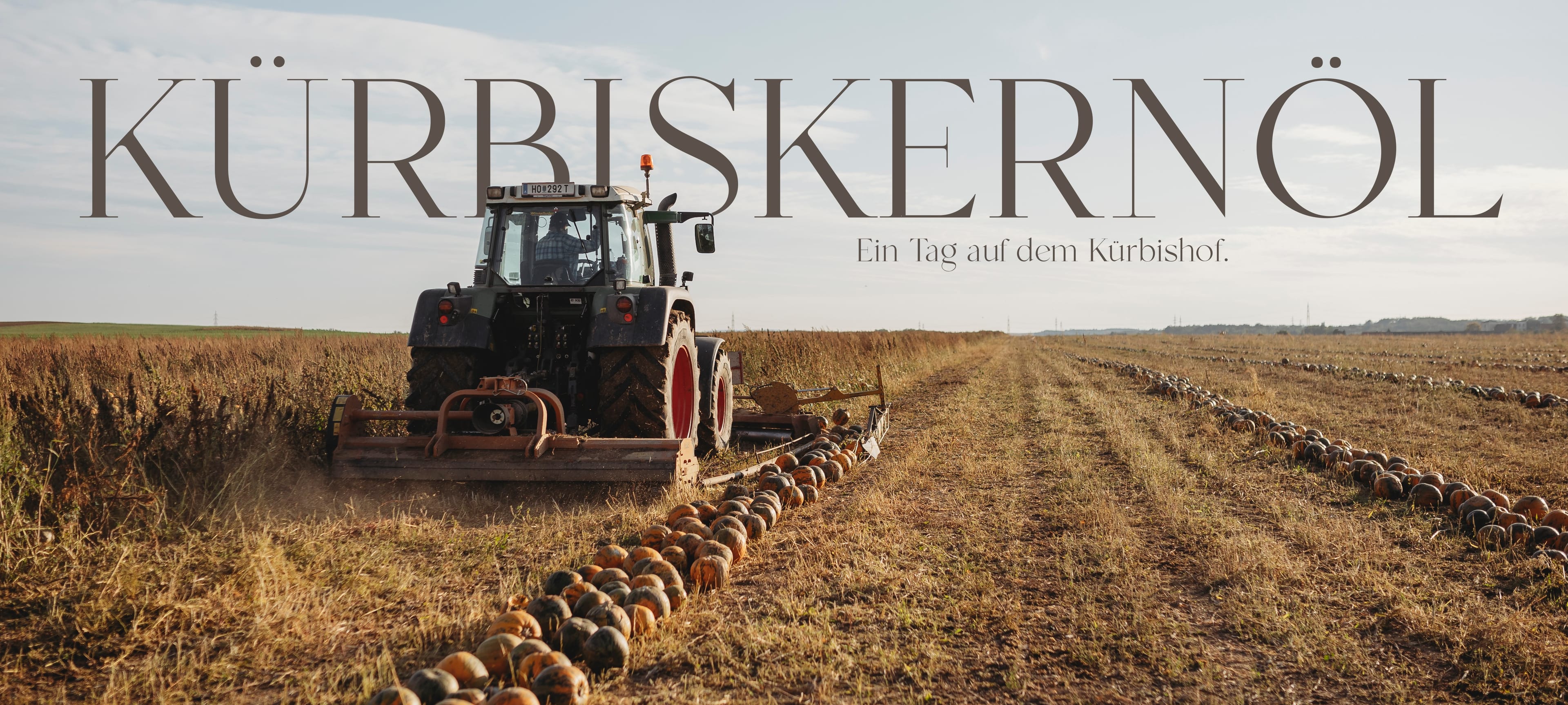 Titelbild Kürbis